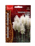 Семена Пампасная трава Белая (Кортадерия) 0,01г. 12.29 г. (комплект 2 шт) - фото 68177427