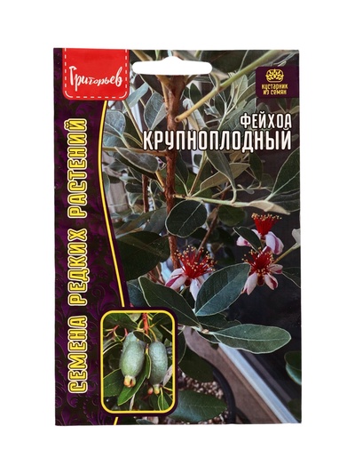 Семена Фейхоа Крупноплодный 7 шт. 12.29 г.