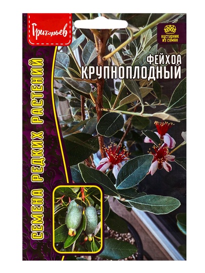 Семена Фейхоа «Крупноплодный», 7 шт., «Григорьев»