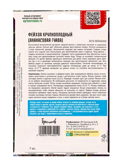 Семена Фейхоа «Крупноплодный», 7 шт., «Григорьев»