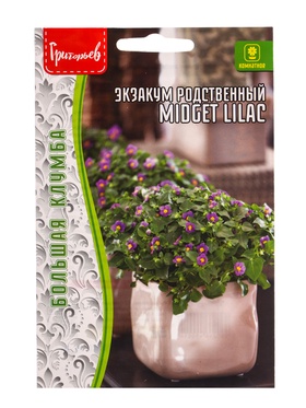 Семена Экзакум Midget Lilac родственный 10шт. 12.29 г.  (артикул 10967547)  большой выбор товаров оптом и в розницу по низким ценам с доставкой
