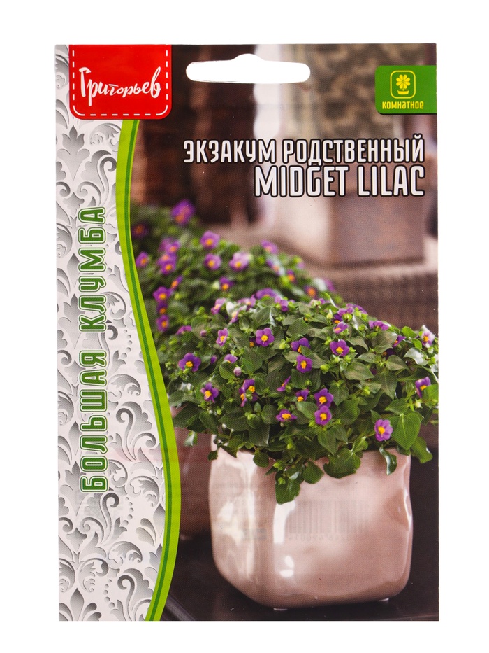 Семена Экзакум Midget Lilac родственный 10шт. 12.29 г. - Фото 1