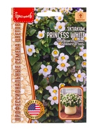 Семена Экзакум Princess White 3др. 12.2029 г. - фото 69173539