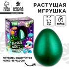 УЦЕНКА Набор для творчества «Вырасти своего питомца» Змея 10983655