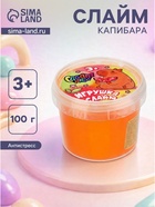 Слайм «Капибара», оранжевый - Фото 1