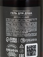 Гель для душа парфюмированный мужской, аромат дерево и дым, 300 мл, laPOETIQUE - фото 809455094
