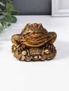 Нэцкэ фигурка полистоун «Денежная жаба с золотой монетой», 12×10.5×7.7 см - фото 809455165