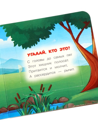 Книга с окошками «В. Степанов. Капибара в зоопарке», 10 стр.
