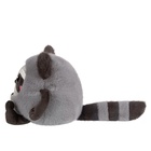 Мягкая игрушка «Енот Муник Рори», 20 см - Фото 4