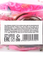 Подарочный набор «8 марта»: чай, варенье из шишек с брусникой, бальзам с шиповником и клюквой - Фото 12