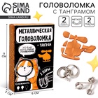 УЦЕНКА Металлическая головоломка с танграмом "Иду искать решение" - Фото 1
