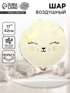 Воздушный шар фольгированный 17" «Кошечка», набор 5 шт. 10937215