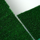 УЦЕНКА Террариум для черепах 45 литров, с крышкой, полкой и лесенкой, 55×33×25 см - Фото 6