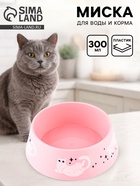 Миска пластиковая "Котики", розовая 300 мл  (артикул 10908254)  большой выбор товаров оптом и в розницу по низким ценам с доставкой