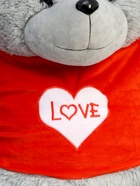 Мягкая игрушка «Медведь Тед в кофте», цвет серый, 65 (120) см - фото 809457817