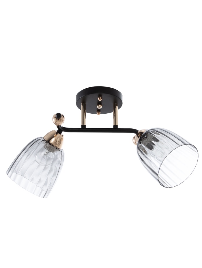 Люстра 12229/2, 2хE27, 60Вт, чёрный/золото