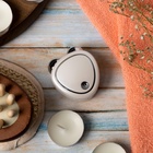 УЦЕНКА Массажёр для лица LEM-15, микротоковый, белый, от USB - Фото 1