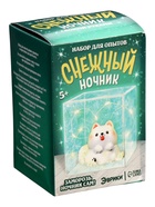 УЦЕНКА ЭВРИКИ, «Снежный ночник своими руками», пёсик - Фото 2