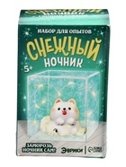 УЦЕНКА ЭВРИКИ, «Снежный ночник своими руками», пёсик - Фото 3