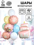Воздушные шары «Розовый тортик», фольга, латекс, набор 12 шт. - фото 120956499