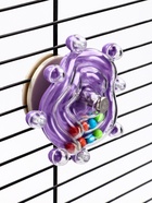 Игрушка для птиц «Карусель», 8 см, фиолетовая 10935967