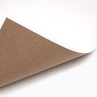 УЦЕНКА Картон белый, А4, 16 л, немел., 1ст., 220 г/м², Щенячий патруль - Фото 3