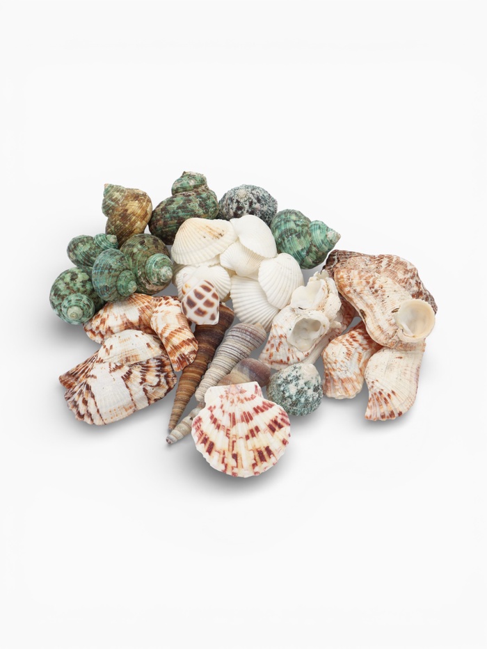 Набор ракушек Пижон Аква 200 г, микс №1 - Фото 1