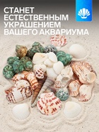 Набор ракушек «Пижон Аква», 200 г, микс №1 10939974