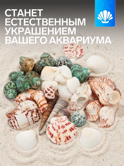 Набор ракушек «Пижон Аква», 200 г, микс №1