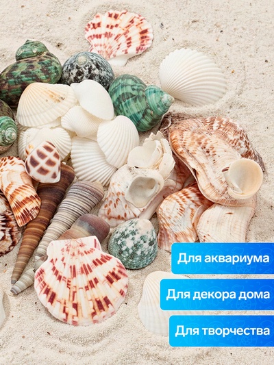 Набор ракушек «Пижон Аква», 200 г, микс №1