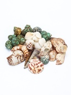 Набор ракушек «Пижон Аква», 200 г, микс №1 10939974