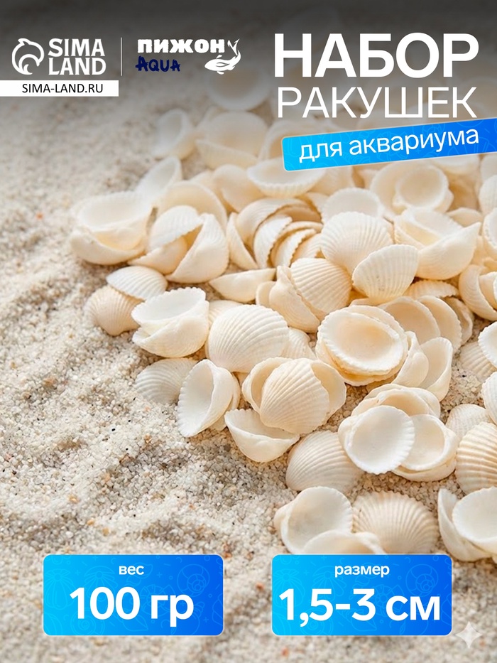 Набор ракушек декоративных 1.5-3 см, 100 г - Фото 1