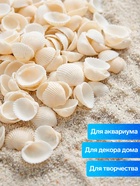 Набор ракушек декоративных 1.5-3 см, 100 г - фото 809460798