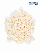 Набор ракушек декоративных 1.5-3 см, 100 г - фото 809460799