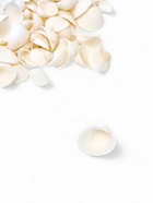 Набор ракушек декоративных 1.5-3 см, 100 г  (артикул 10939976)  большой выбор товаров оптом и в розницу по низким ценам с доставкой