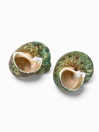 Набор ракушек декоративных, длина 4-5 см ширина 2 см, 2 шт.  (артикул 10939978)  большой выбор товаров оптом и в розницу по низким ценам с доставкой