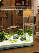 Набор ракушек декоративных, длина 4-5 см ширина 2 см, 2 шт.  (артикул 10939978)  большой выбор товаров оптом и в розницу по низким ценам с доставкой