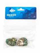 Набор ракушек декоративных, длина 4-5 см ширина 2 см, 2 шт.  (артикул 10939978)  большой выбор товаров оптом и в розницу по низким ценам с доставкой