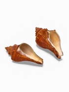 Ракушка декоративная, длина 5-6 см, ширина 4 см - Фото 6