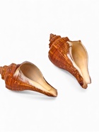 Ракушка декоративная, длина 5-6 см, ширина 4 см  (артикул 10939979)  большой выбор товаров оптом и в розницу по низким ценам с доставкой