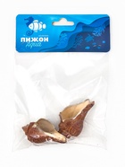 Ракушка декоративная, длина 5-6 см, ширина 4 см  (артикул 10939979)  большой выбор товаров оптом и в розницу по низким ценам с доставкой