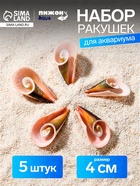 Набор ракушек декоративных, длина 4 см, 5 шт. - фото 809460824