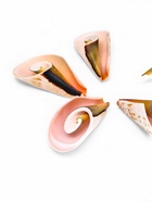 Набор ракушек декоративных, длина 4 см, 5 шт. - фото 809460829