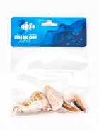 Набор ракушек декоративных, длина 4 см, 5 шт.  (артикул 10939982)  большой выбор товаров оптом и в розницу по низким ценам с доставкой
