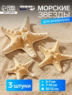 Набор из 3 морских звезд, размер 5-7 см, 7-10 см, 10-12 см, белый  (артикул 10940175)  большой выбор товаров оптом и в розницу по низким ценам с доставкой