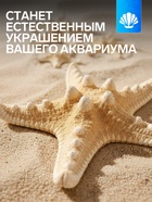 Набор из 3 морских звезд, размер 5-7 см, 7-10 см, 10-12 см, белый  (артикул 10940175)  большой выбор товаров оптом и в розницу по низким ценам с доставкой