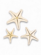 Набор из 3 морских звезд, размер 5-7 см, 7-10 см, 10-12 см, белый  (артикул 10940175)  большой выбор товаров оптом и в розницу по низким ценам с доставкой