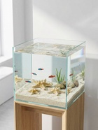 Набор из 3 морских звезд, размер 5-7 см, 7-10 см, 10-12 см, белый  (артикул 10940175)  большой выбор товаров оптом и в розницу по низким ценам с доставкой