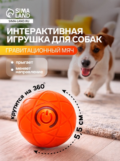 Интерактивная игрушка для собак «Гравитационный мяч», 5.5 см, оранжевая
