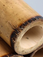 УЦЕНКА Свеча в бамбуке тройная «Экзотика» 13×15×30 см, 100 мл, цв. бежевый - Фото 8